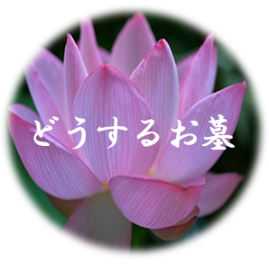 どうするお墓